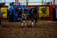 11-14-2020,stockyards pro rodeo,Duty1324