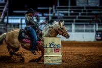 North Texas Fair and rodeo denton3413