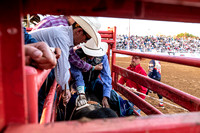 _DSC4231.NEF_8-27-2022_North Texas State Fair Rodeo_Bulls_Perf 3_Lisa Duty9995