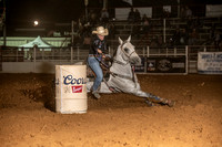 10-163923-2020 North Texas Fair and rodeo denton seqn}