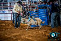10-225504-2020 North Texas Fair and rodeo denton bulls first perfeqn}