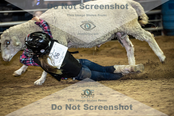 10-204814-2020 North Texas Fair and rodeo denton muttin bustingseqn}