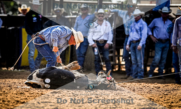 6-10-2021_PCSP rodeo_weatherford, Texass_Slack Steer Tripping_Pete Carr Rodeo_Joe Duty8369