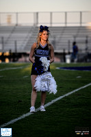 Candid, cheer, band, flags