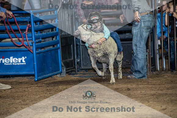 10-204845-2020 North Texas Fair and rodeo denton muttin bustingseqn}