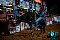 10-225189-2020 North Texas Fair and rodeo denton bulls first perfeqn}