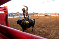 _DSC4243.NEF_8-27-2022_North Texas State Fair Rodeo_Bulls_Perf 3_Lisa Duty10007