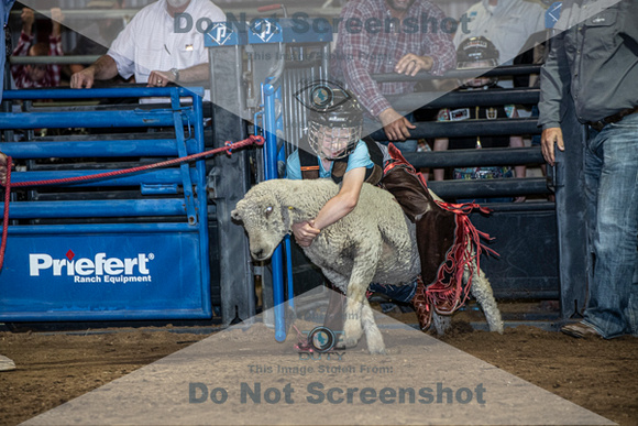 10-204896-2020 North Texas Fair and rodeo denton muttin bustingseqn}