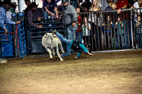10-204808-2020 North Texas Fair and rodeo denton muttin bustingseqn}