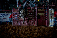 10-174420-2020 North Texas Fair and rodeo denton seqn}