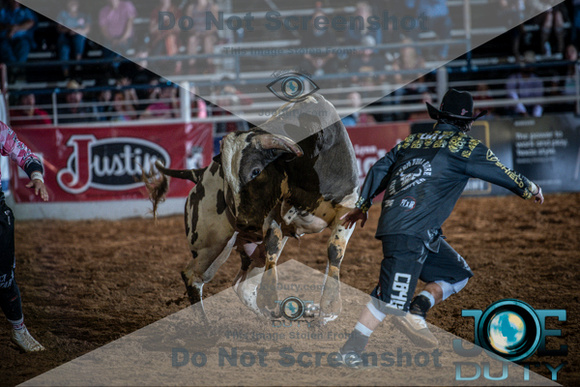 10-225548-2020 North Texas Fair and rodeo denton bulls first perfeqn}