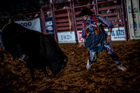 10-174415-2020 North Texas Fair and rodeo denton seqn}