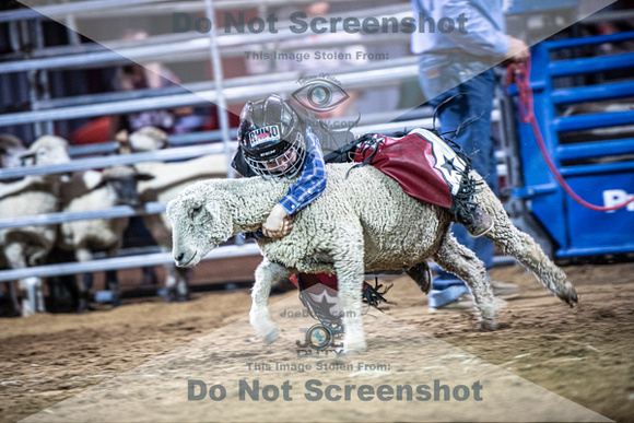 10-205027-2020 North Texas Fair and rodeo denton muttin bustingseqn}