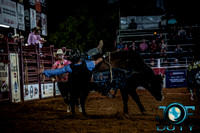 10-225183-2020 North Texas Fair and rodeo denton bulls first perfeqn}
