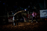 10-174431-2020 North Texas Fair and rodeo denton seqn}