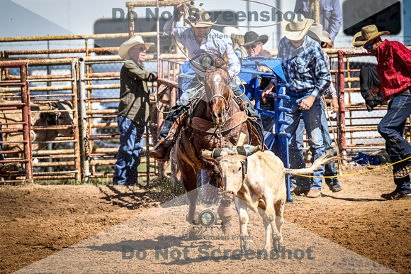 _JDZ0145-03-25-2022_Huntsville rodeo_Steer Tripping_JoeDuty-01319