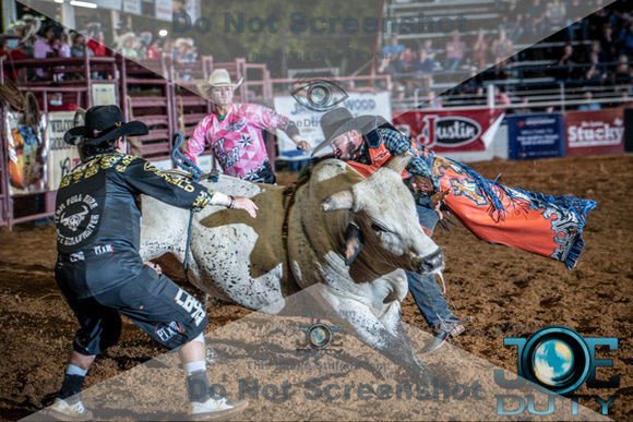 10-225417-2020 North Texas Fair and rodeo denton bulls first perfeqn}
