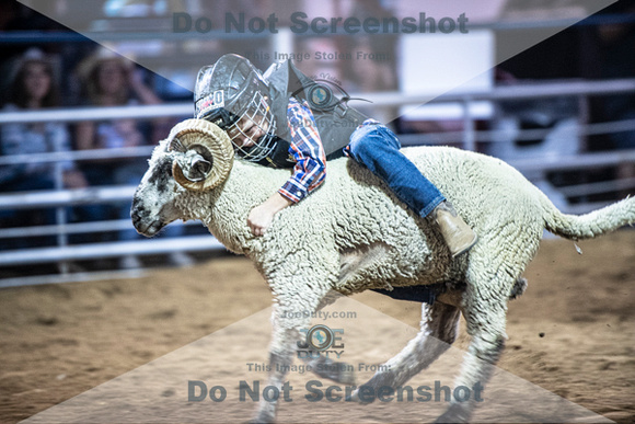 10-204965-2020 North Texas Fair and rodeo denton muttin bustingseqn}