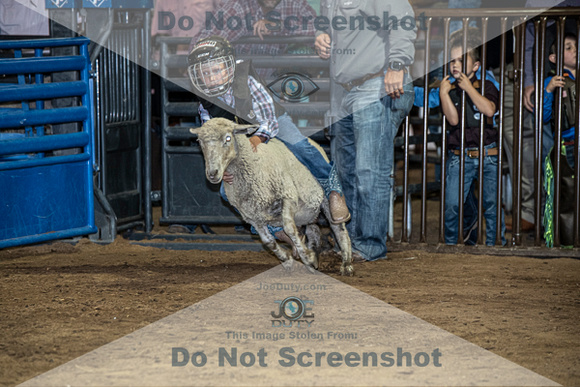 10-204837-2020 North Texas Fair and rodeo denton muttin bustingseqn}