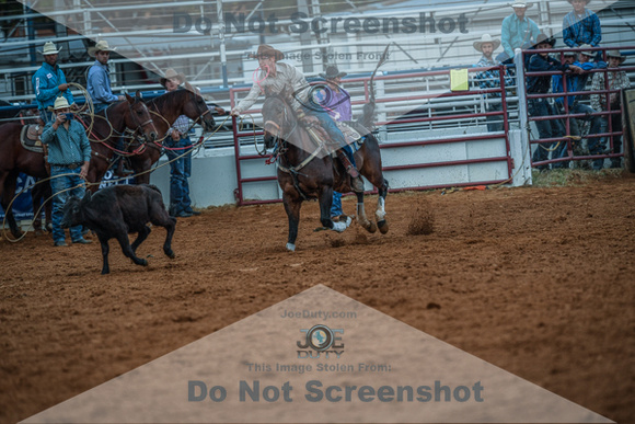 North Texas Fair and rodeo denton2345