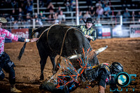 10-225253-2020 North Texas Fair and rodeo denton bulls first perfeqn}