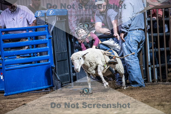 10-204996-2020 North Texas Fair and rodeo denton muttin bustingseqn}