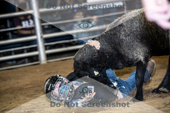 10-204836-2020 North Texas Fair and rodeo denton muttin bustingseqn}