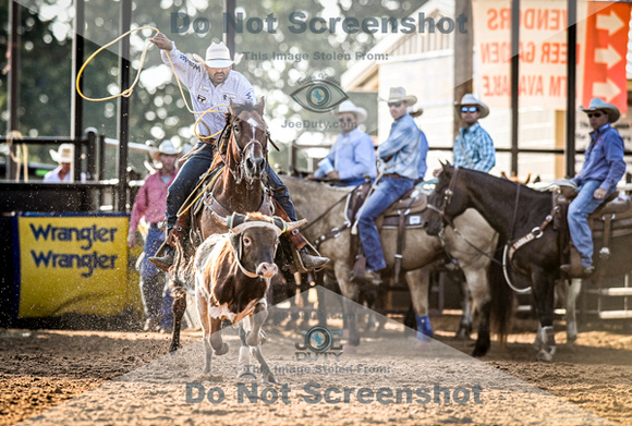 6-10-2021_PCSP rodeo_weatherford, Texass_Slack Steer Tripping_Pete Carr Rodeo_Joe Duty7996