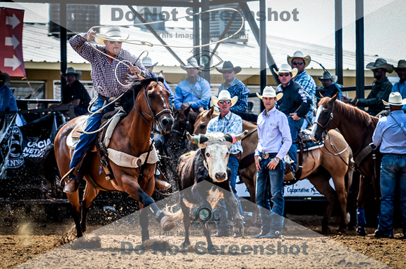 6-10-2021_PCSP rodeo_weatherford, Texass_Slack Steer Tripping_Pete Carr Rodeo_Joe Duty7524