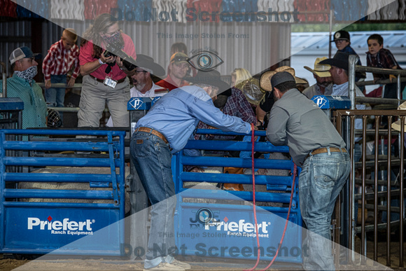 10-204876-2020 North Texas Fair and rodeo denton muttin bustingseqn}