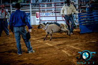 10-225491-2020 North Texas Fair and rodeo denton bulls first perfeqn}