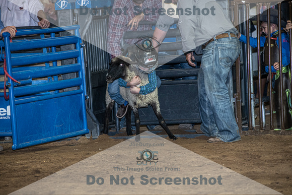 10-204919-2020 North Texas Fair and rodeo denton muttin bustingseqn}