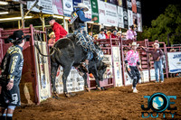 10-225162-2020 North Texas Fair and rodeo denton bulls first perfeqn}