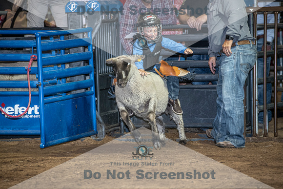10-204877-2020 North Texas Fair and rodeo denton muttin bustingseqn}