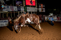 10-16-2020 North Texas Fair and rodeo denton3693