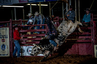 10-174503-2020 North Texas Fair and rodeo denton seqn}
