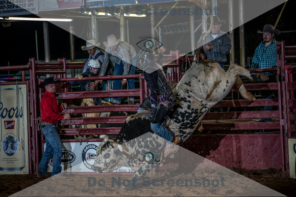 10-174503-2020 North Texas Fair and rodeo denton seqn}