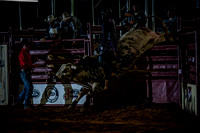 10-174502-2020 North Texas Fair and rodeo denton seqn}