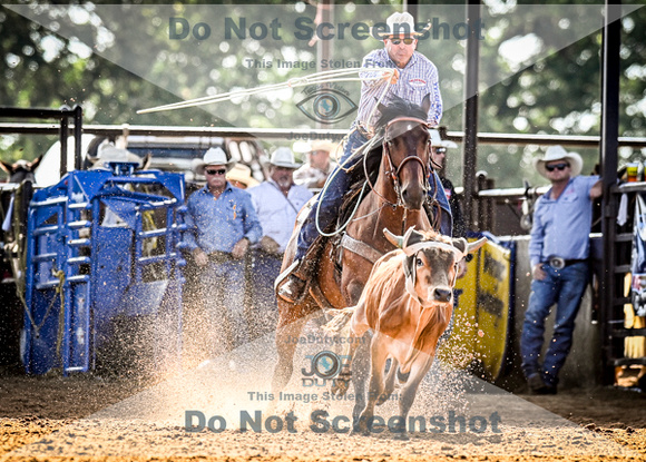 6-10-2021_PCSP rodeo_weatherford, Texass_Slack Steer Tripping_Pete Carr Rodeo_Joe Duty8314