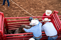 _DSC4266.NEF_8-27-2022_North Texas State Fair Rodeo_Bulls_Perf 3_Lisa Duty10030