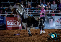 10-225234-2020 North Texas Fair and rodeo denton bulls first perfeqn}