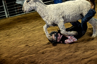 10-204821-2020 North Texas Fair and rodeo denton muttin bustingseqn}