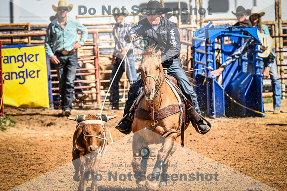 _JDZ0103-03-25-2022_Huntsville rodeo_Steer Tripping_JoeDuty-01277