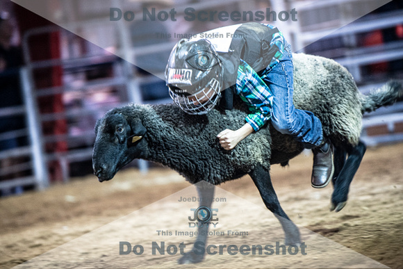 10-205016-2020 North Texas Fair and rodeo denton muttin bustingseqn}