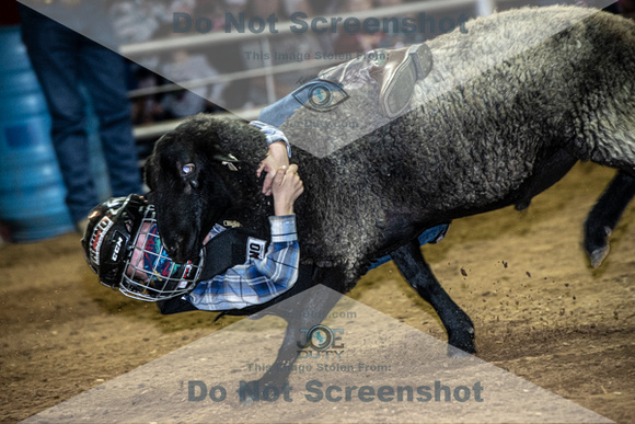 10-204833-2020 North Texas Fair and rodeo denton muttin bustingseqn}