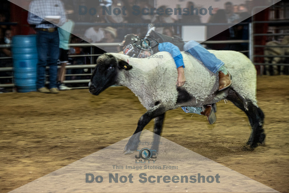 10-204857-2020 North Texas Fair and rodeo denton muttin bustingseqn}