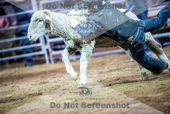 10-205014-2020 North Texas Fair and rodeo denton muttin bustingseqn}