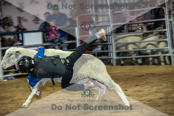10-204873-2020 North Texas Fair and rodeo denton muttin bustingseqn}