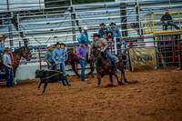 North Texas Fair and rodeo denton2310