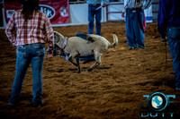 10-225492-2020 North Texas Fair and rodeo denton bulls first perfeqn}